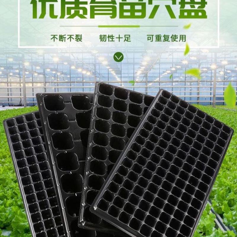 育苗穴盘育苗盘无毒PET多肉叶插盘育苗器扦插盘秧苗盘草