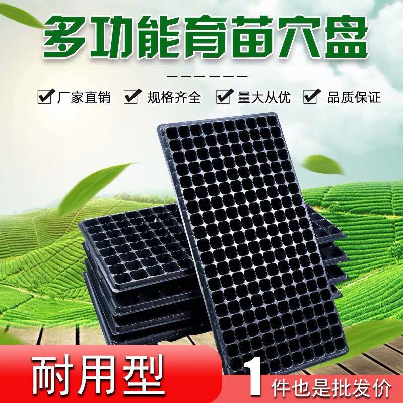 育苗穴盘育苗盘无毒PET多肉叶插盘育苗器扦插盘秧苗盘草