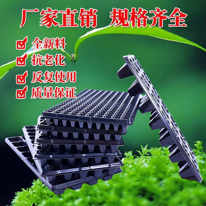 育苗穴盘育苗盘无毒PET多肉叶插盘育苗器扦插盘秧苗盘草