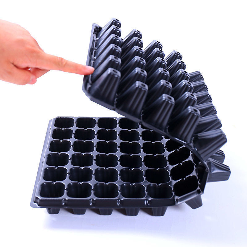 育苗穴盘育苗盘无毒PET多肉叶插盘育苗器扦插盘秧苗盘草