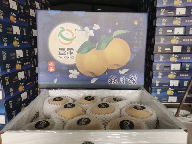 山东秋月梨，品质好，糖度高，产地直发，可满足各种包装要求