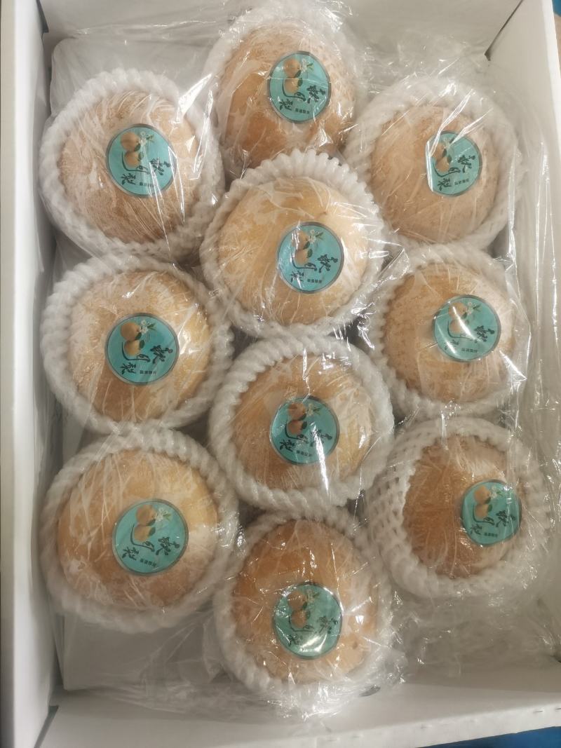 山东秋月梨，品质好，糖度高，产地直发，可满足各种包装要求