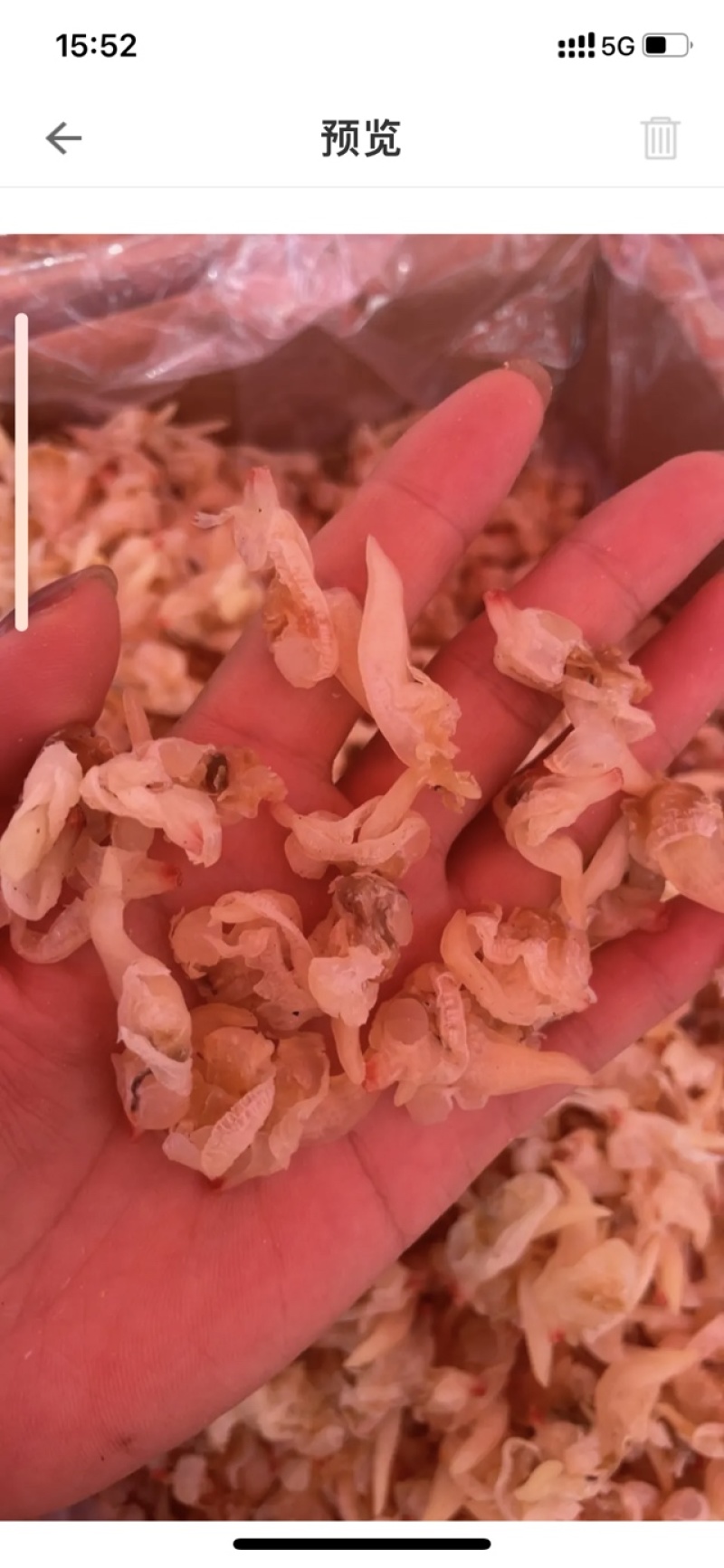 淡干蛤蜊肉花甲肉花蛤肉干货无杂质干度好