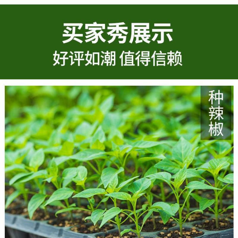 批发穴盘育苗盆厂家直销穴盘蔬菜育苗盒网格盘辣椒瓜果穴盘盒