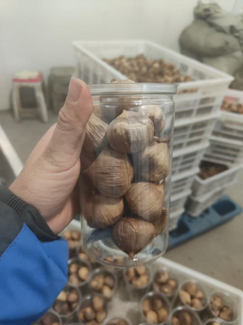 山东黑蒜批发发酵黑蒜金乡厂家直供支持代发质量保证