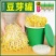 生豆芽机家用小型发豆芽罐神器种植桶芽苗菜育苗盘麦饭石全自