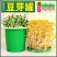 生豆芽机家用小型发豆芽罐神器种植桶芽苗菜育苗盘麦饭石全自