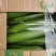 短丝瓜，油皮丝瓜，本地大量上市，质量有保证，欢迎电商咨询