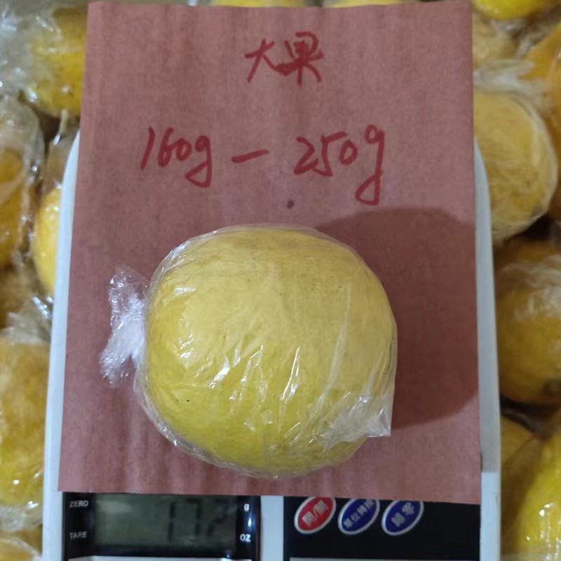 安岳黄柠檬新果一件代发一二级160g/250g