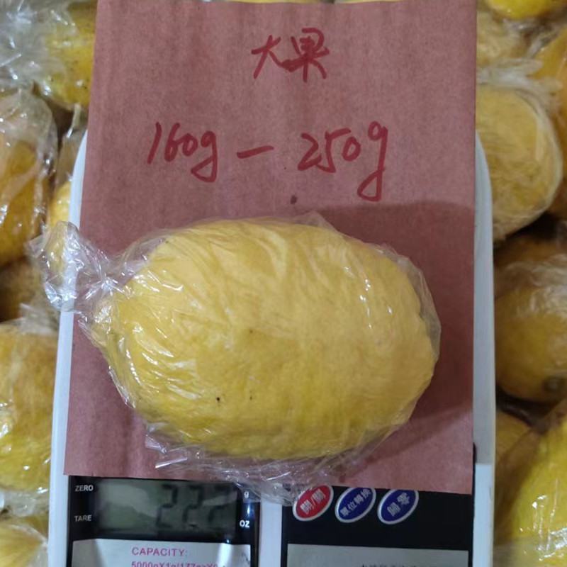 安岳黄柠檬新果一件代发一二级160g/250g