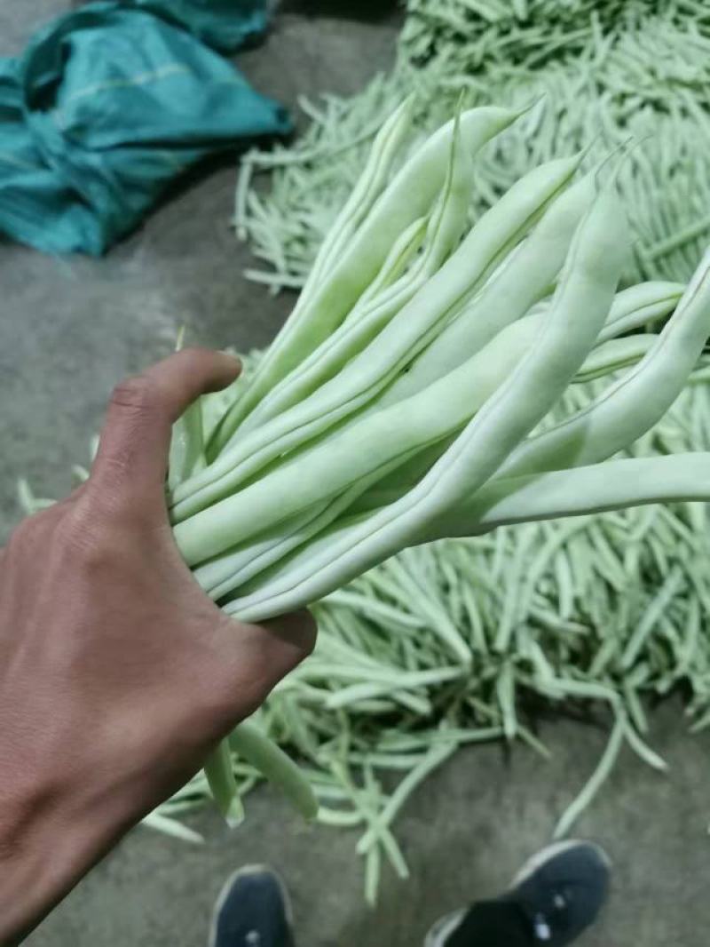 白豆