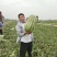 【推荐】精品金城5号西瓜，新疆西瓜昌吉产地，全国发货包熟