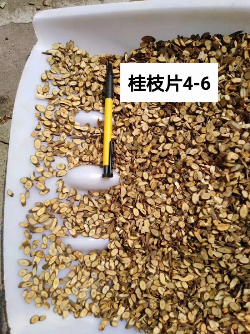 桂枝，桂枝片，瓜子片