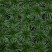 菖蒲盆景家居镇宅盆栽山水造景盆栽菖蒲苗苔藓球可爱室内客厅