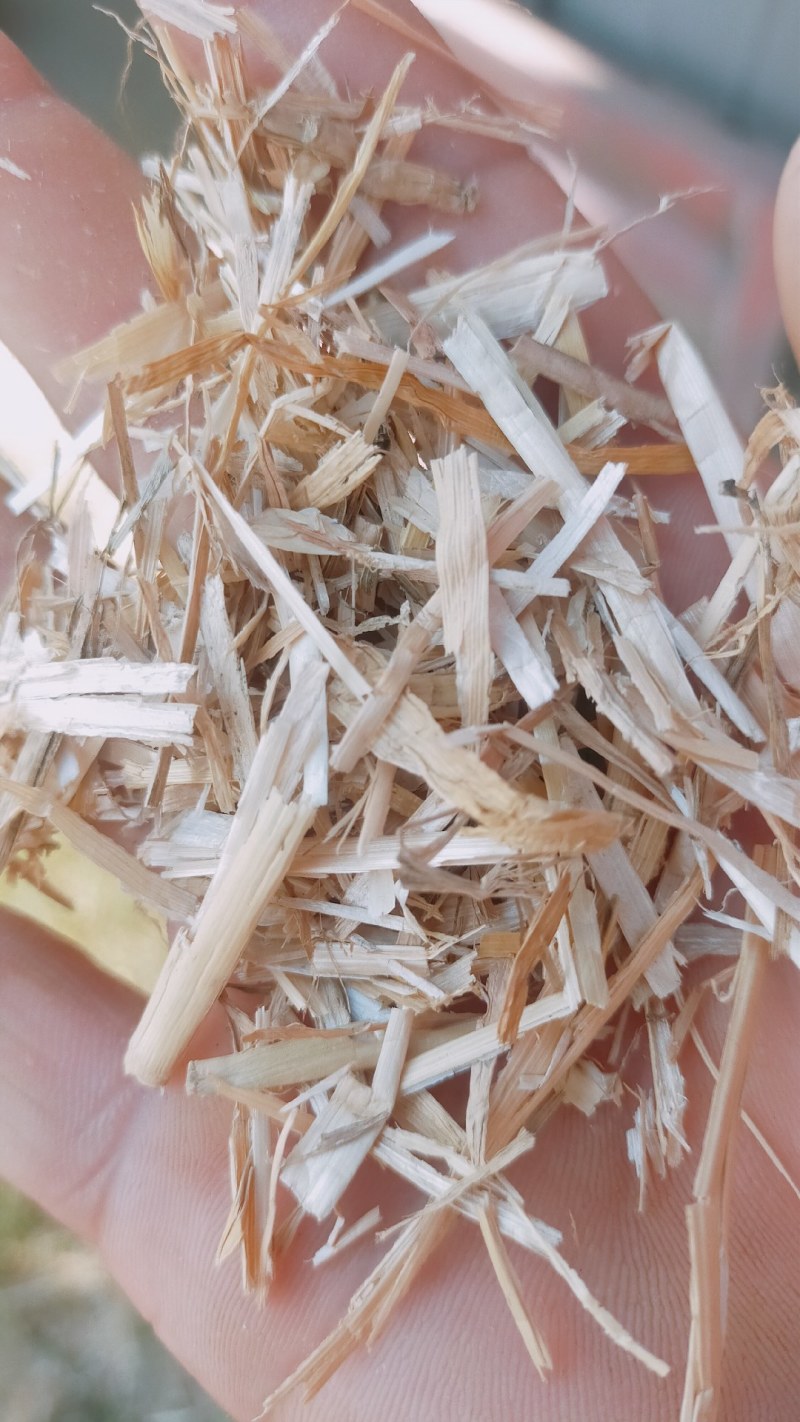 小麦秸秆花生秧牛羊草料常年大量供应诚实可靠