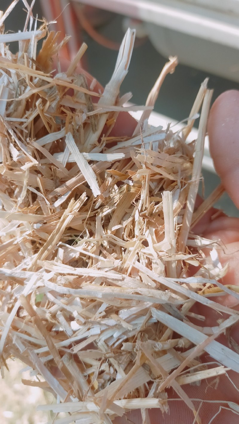 小麦秸秆花生秧牛羊草料常年大量供应诚实可靠