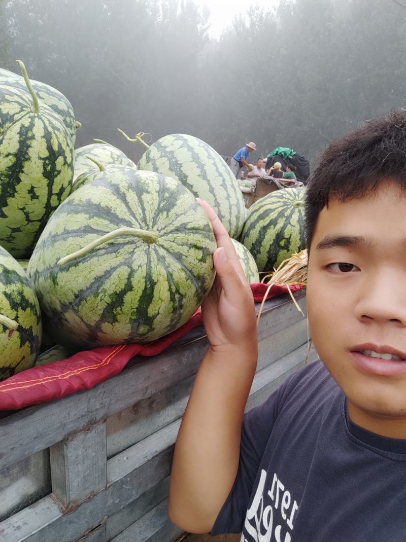 河南周口扶沟县尚村岗精品花长瓜，保质保量，欢迎前来咨询