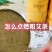 伏牛山石磨黄金艾条手工卷制厂家直销