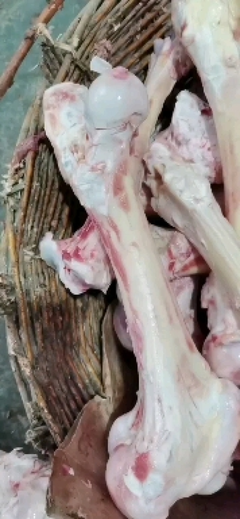 国产牛棒骨