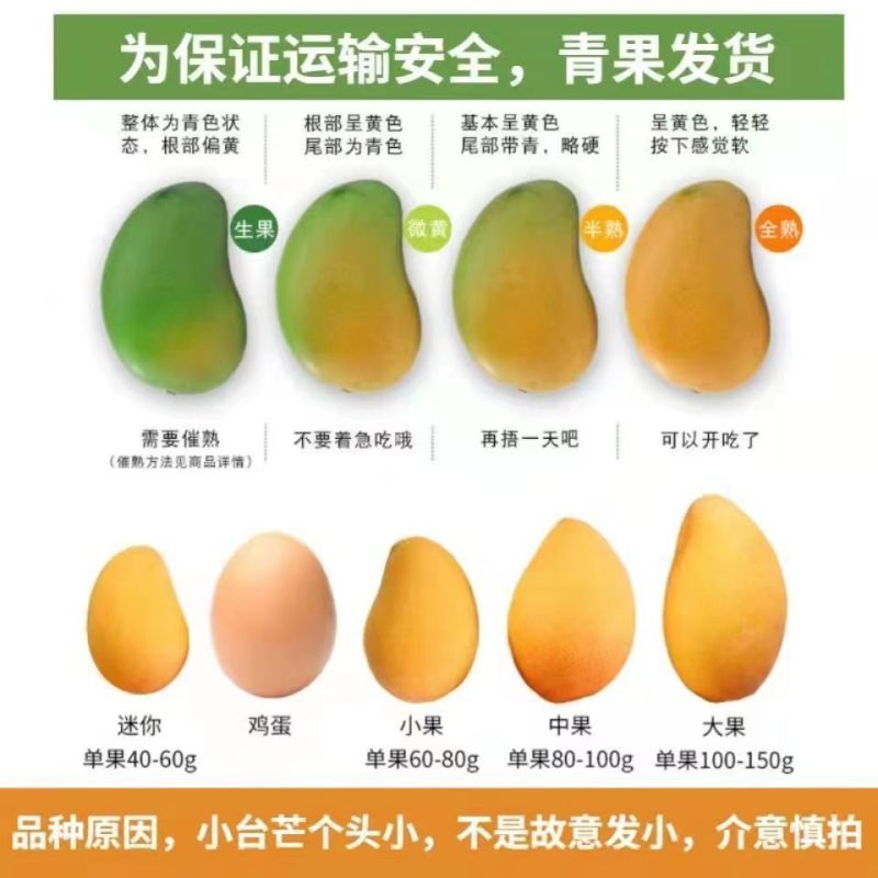 [一件代发]精选小台芒果当季小台农树上熟新鲜采摘果园直发