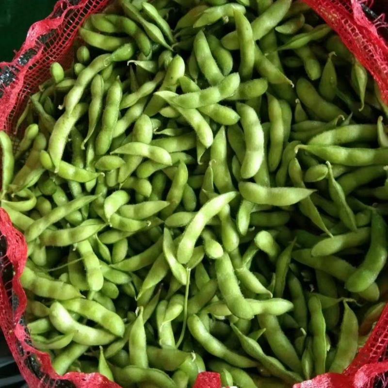 翠绿宝毛豆