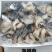 海螺肉，现剥海螺肉，可以切片，可以刺身，可以捞汁