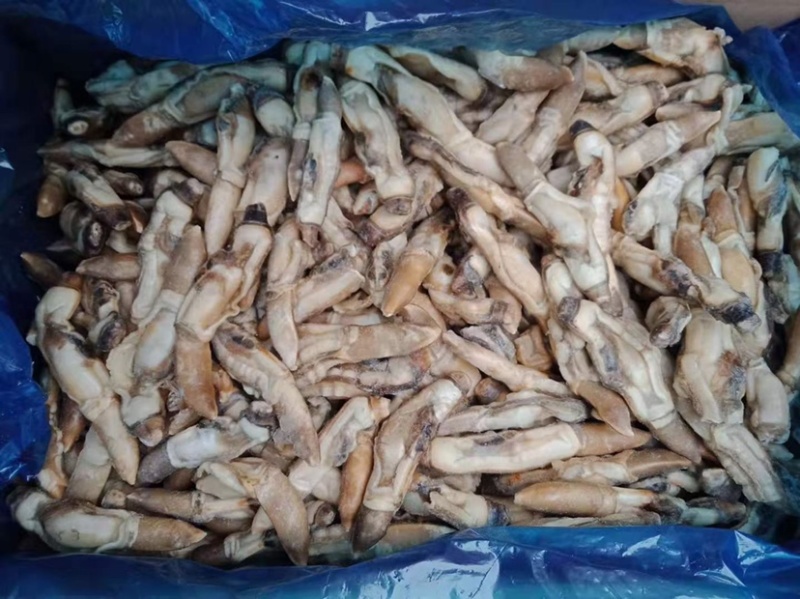 墨鱼仔蛏王肉