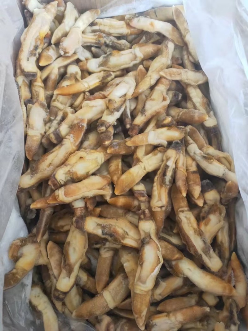 墨鱼仔蛏王肉