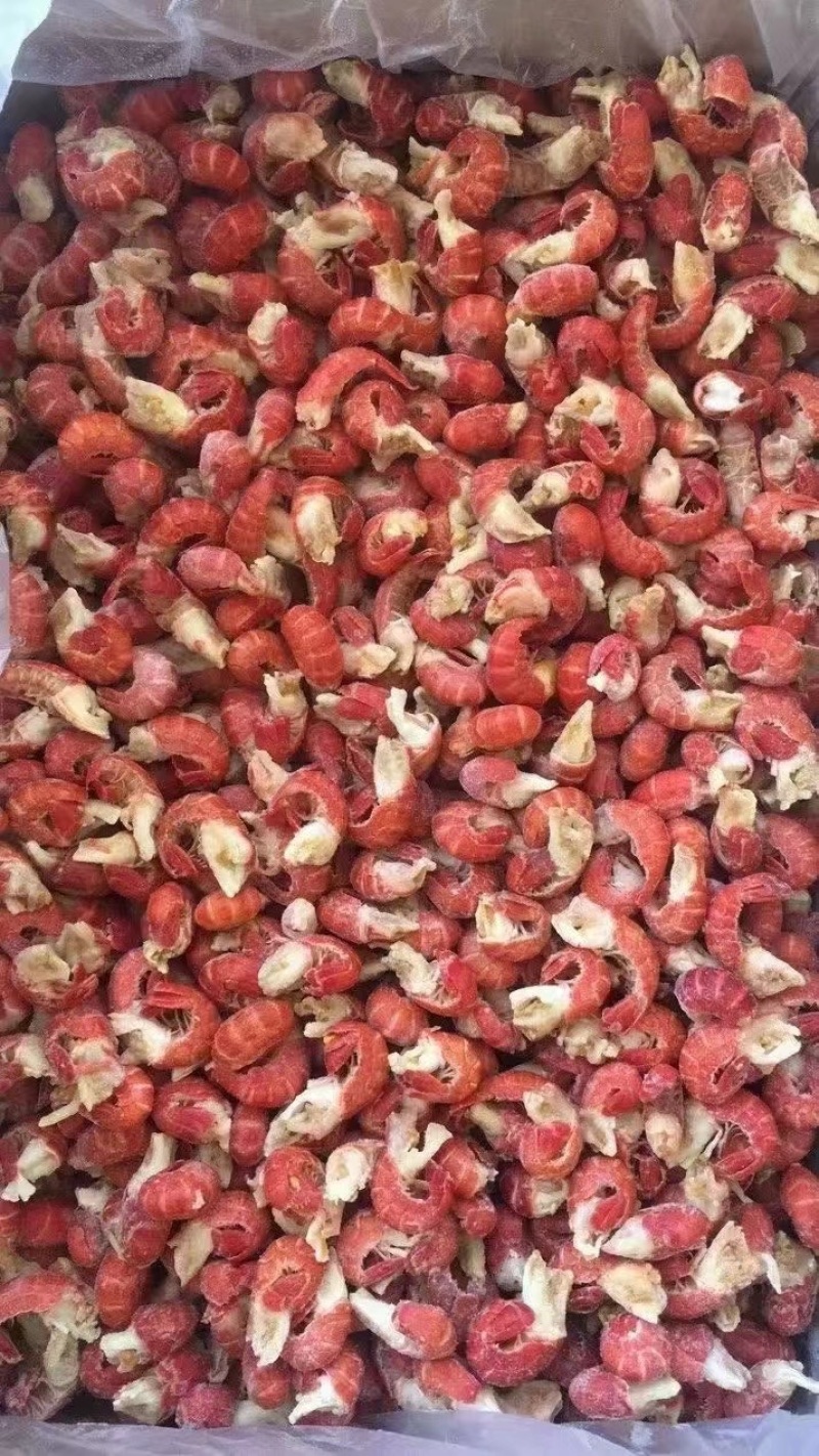（厂家直销）液氮速冻精品虾尾一级虾尾二级虾尾无冰衣