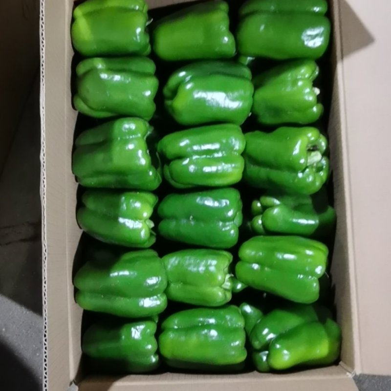 鲜辣椒，各种辣椒大量上市，需要联系本人