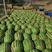 云南甜王西瓜，大量供应批发，保质保量，支持全国代发