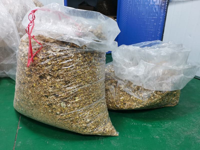 鸡油菌（榆黄蘑）筛选后去渣碎片