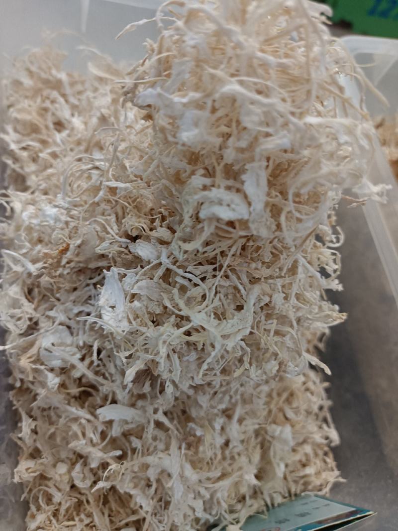 橘络新货橘络干净无杂***大货零售批发假一赔十