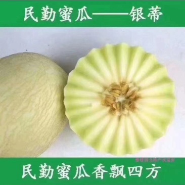 银帝，民勤大漠甜瓜