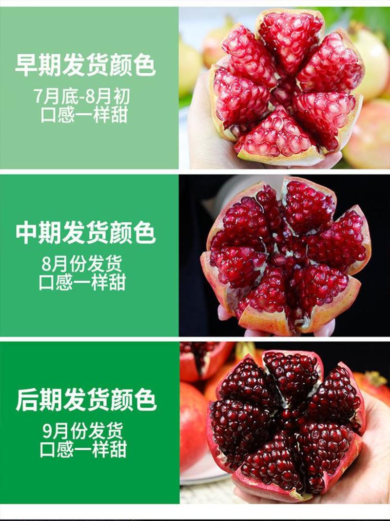 【超甜】突尼斯软籽石榴新鲜水果10斤应季软子石榴场地批发