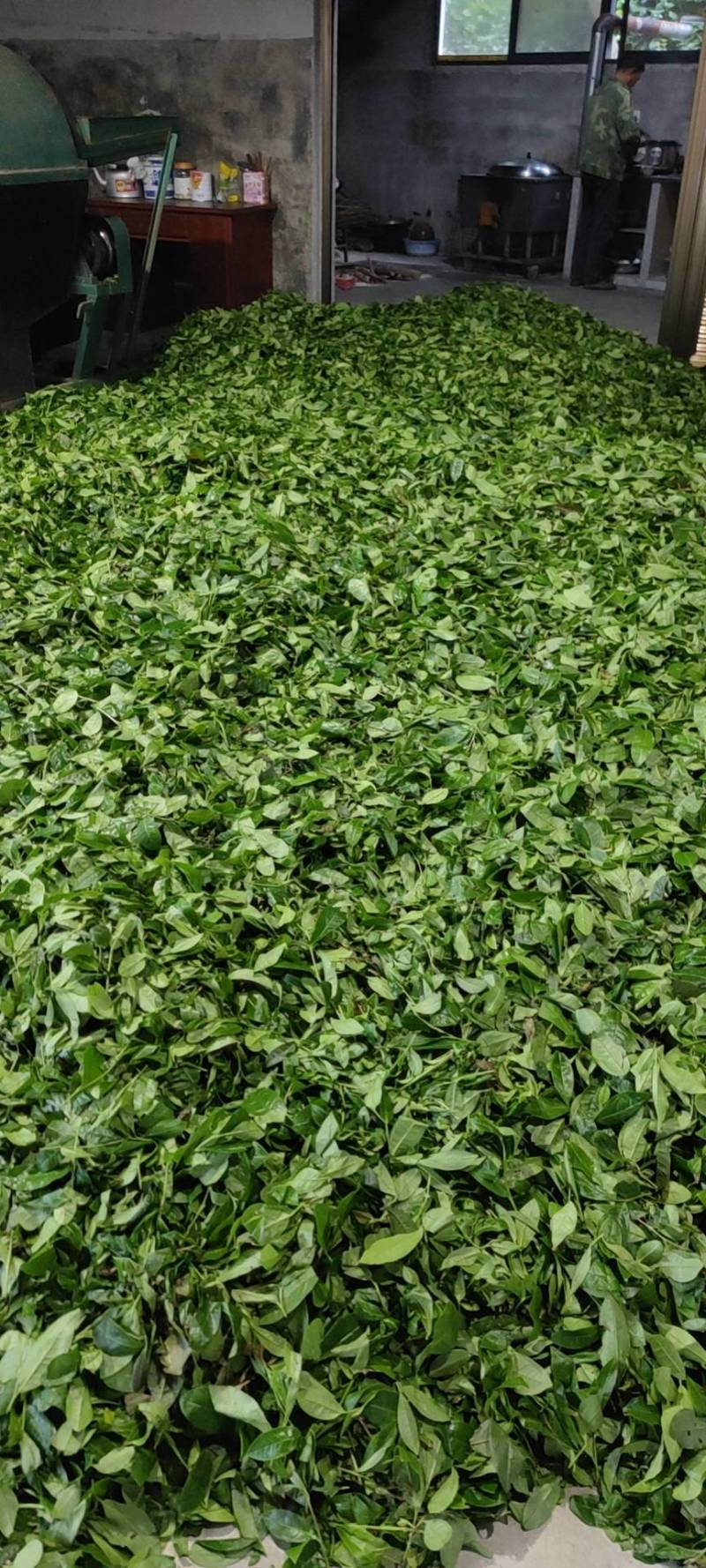 【诚信商家】黑茶毛茶，可加工成任意黑茶成品茶的半成品茶！