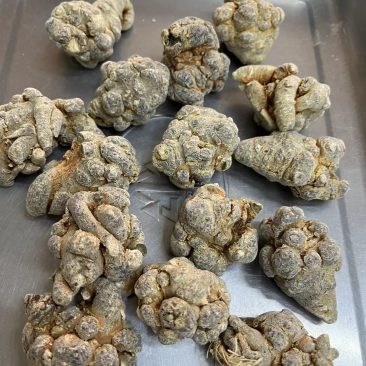 文山三七，20头三七，足头三七，足干三七，三七规格齐全