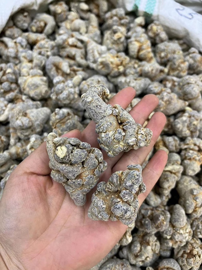 文山三七，20头三七，足头三七，足干三七，三七规格齐全
