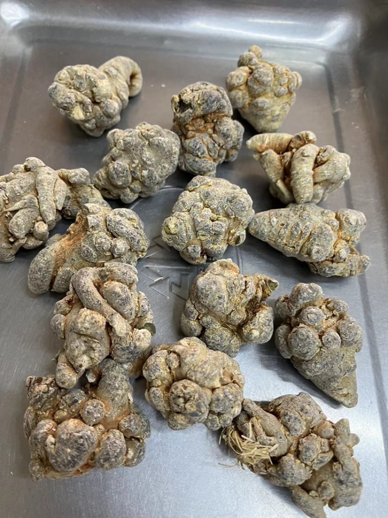 文山三七，20头三七，足头三七，足干三七，三七规格齐全