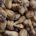 山菠萝露兜树野菠萝包邮量大从优一手货源常年供应