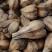 山菠萝露兜树野菠萝包邮量大从优一手货源常年供应