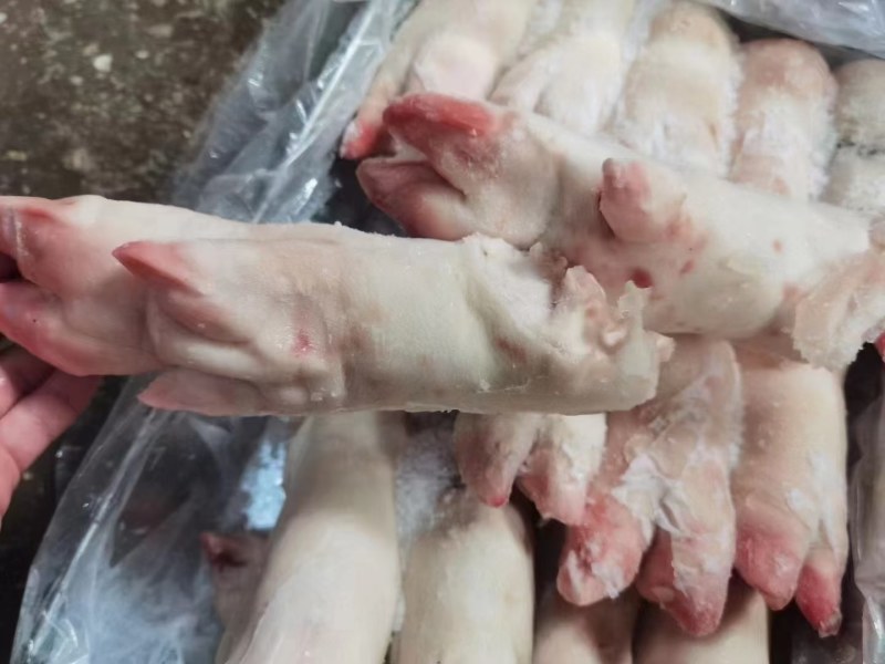 母猪蹄