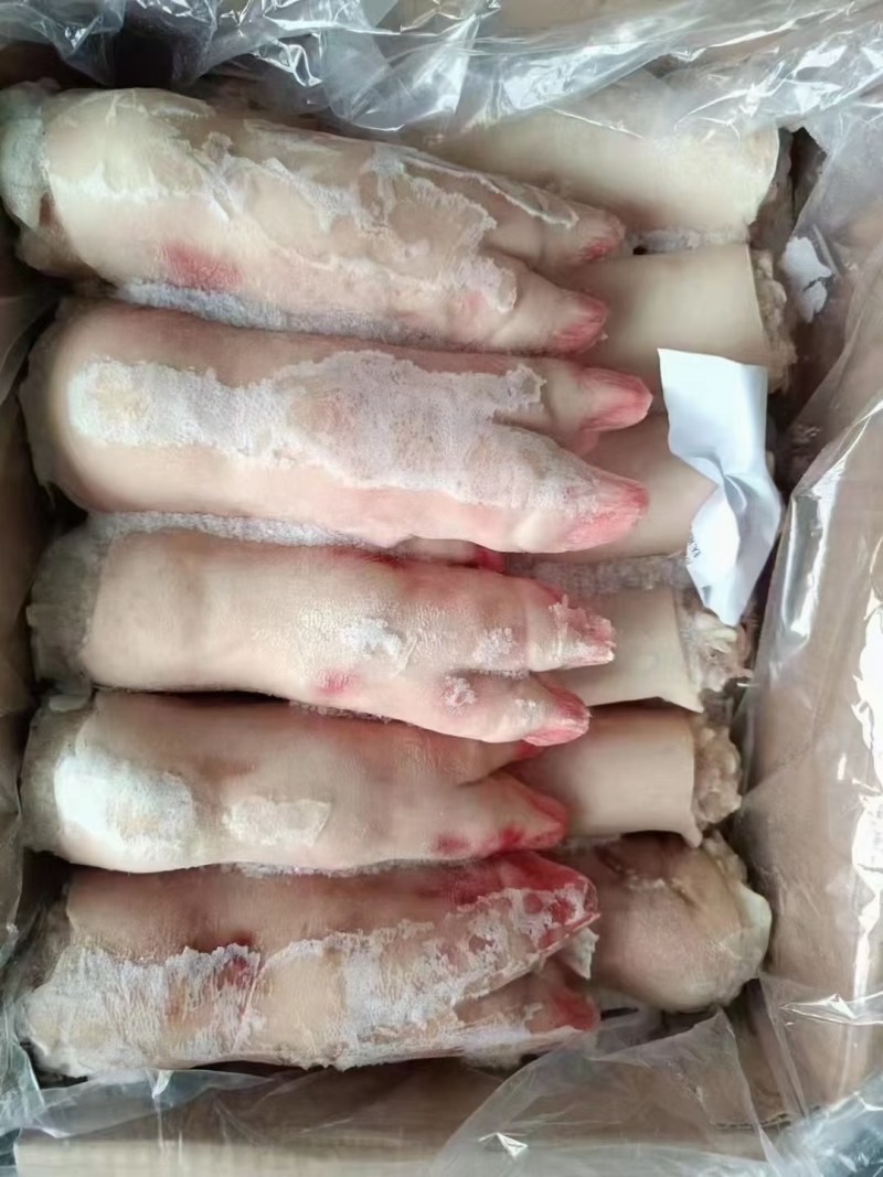 母猪蹄