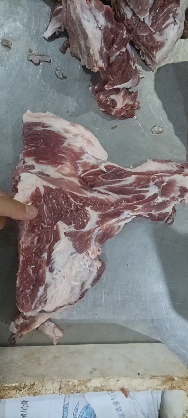母猪带劲前排
