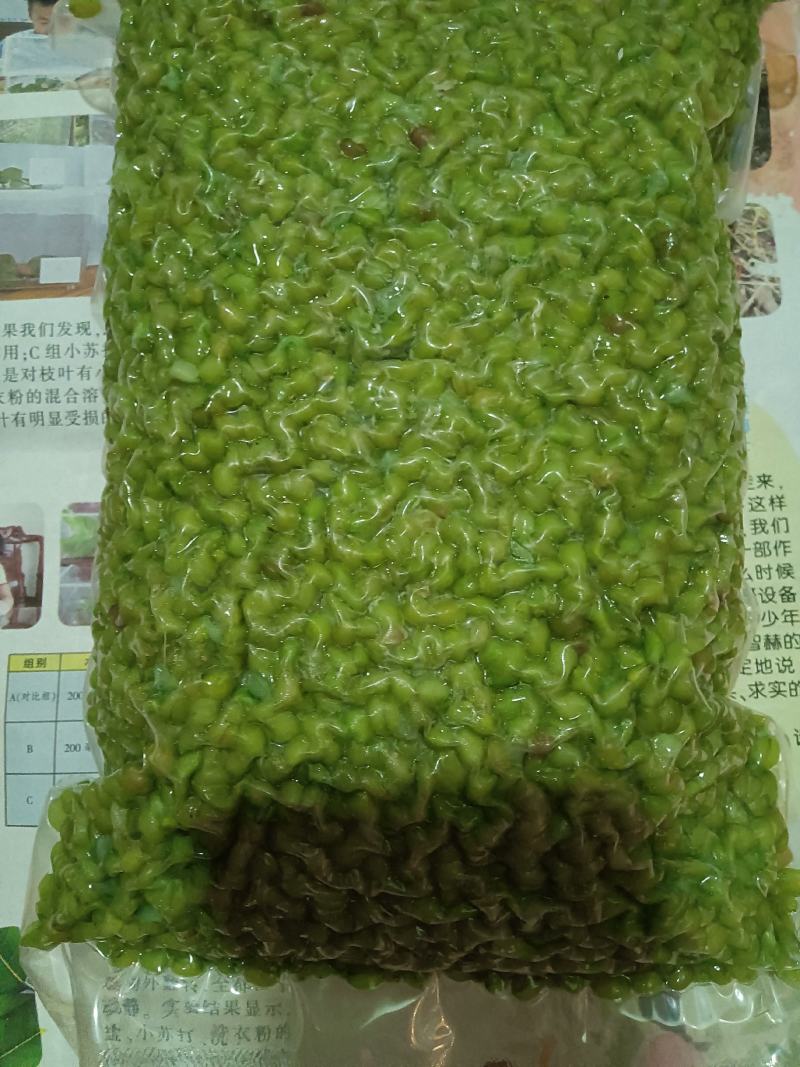 鲜青麦仁青麦粒青麦籽