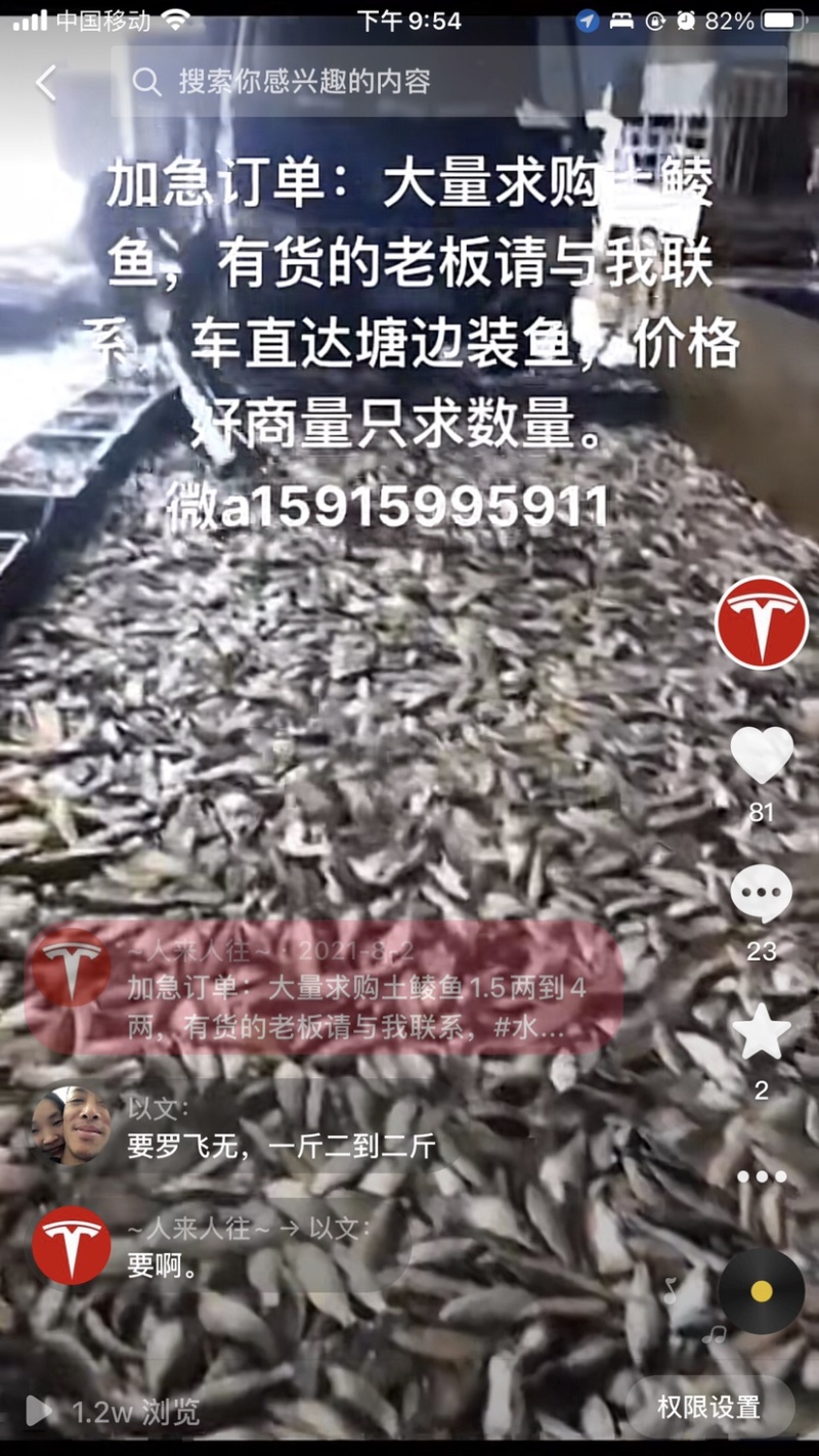 新鲜土鲮鱼肉新鲜冷冻鱼肉下单即宰冷链发货24小时到
