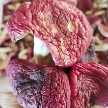 云南野生红菇，简称大红菌云南特产食用菌。