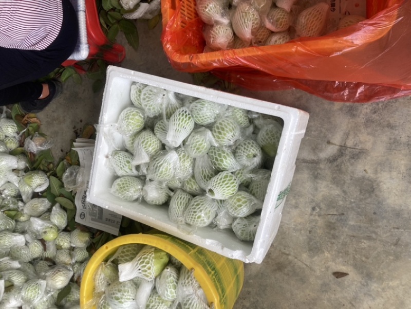 红心番石榴，白心番石榴代办