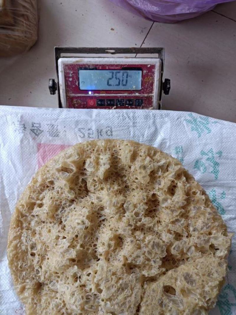 新款手工面筋，纯面筋，不含面！高品质，可预定规格！