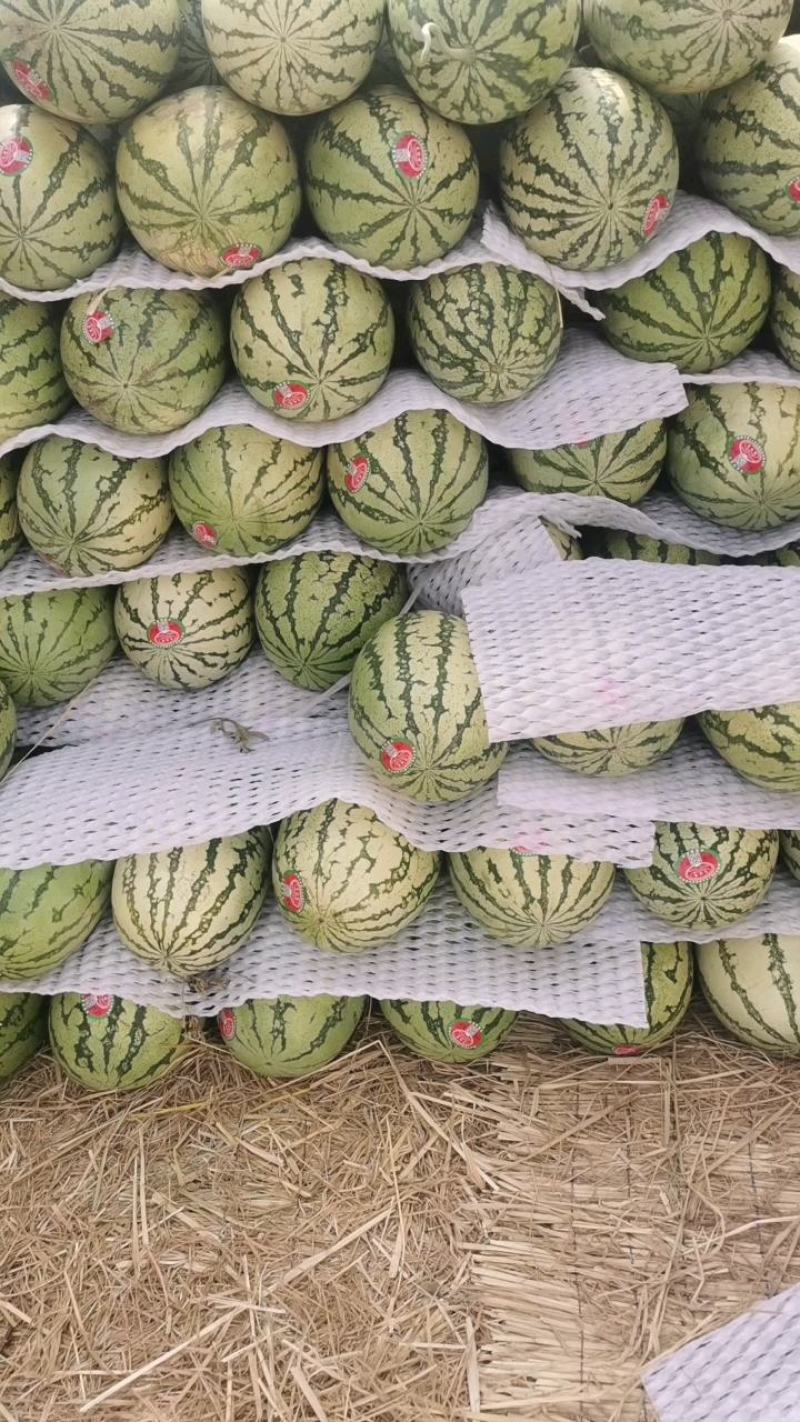 西瓜宁夏硒砂瓜！大量上市！糖度13个打底！保质保量！